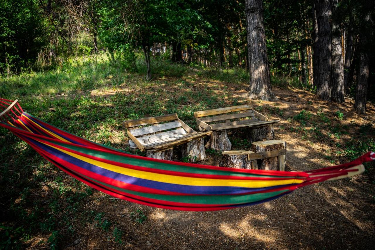 Vila Casuta Mea Piatra Neamţ Exteriér fotografie