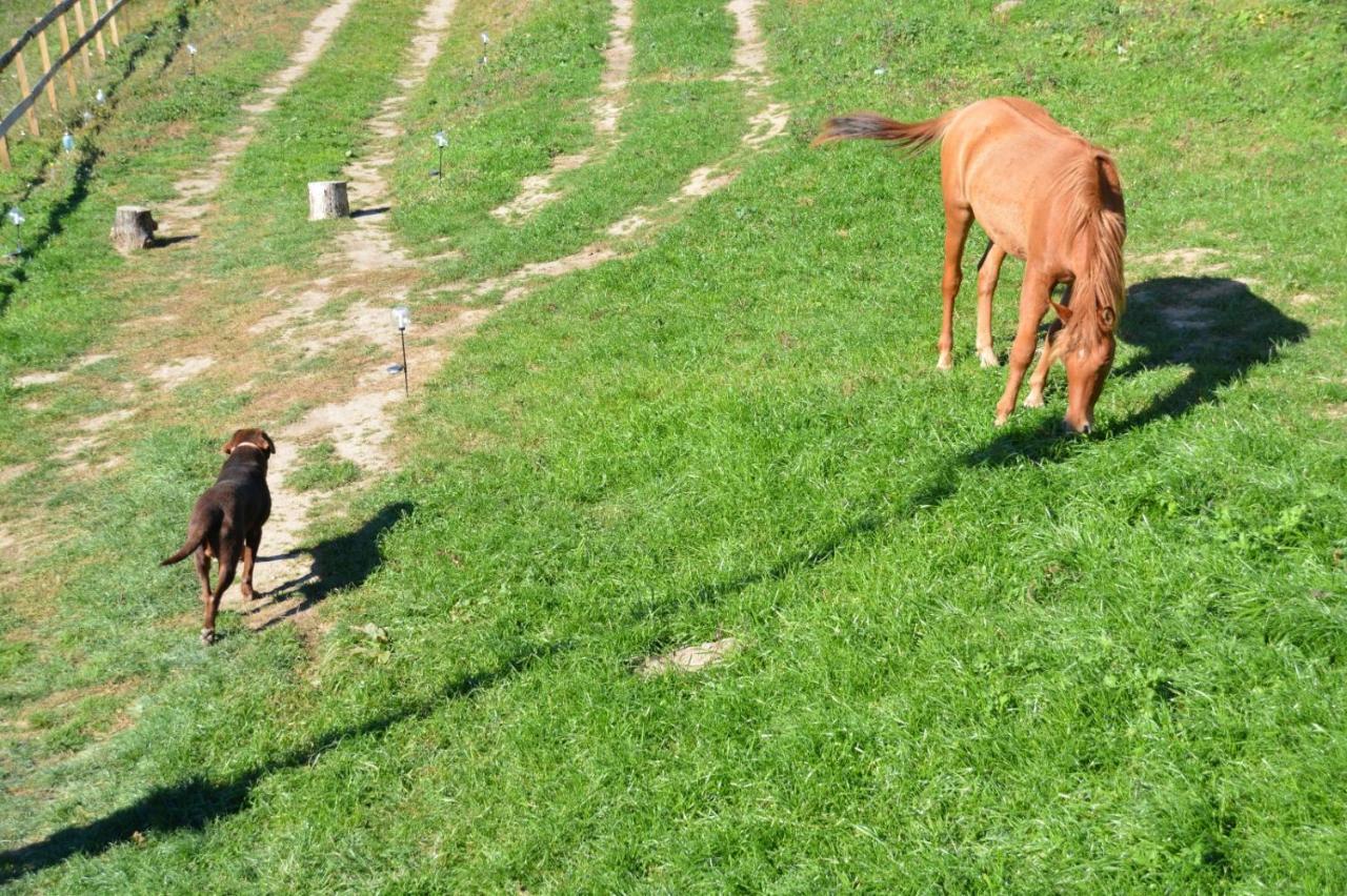 Vila Casuta Mea Piatra Neamţ Exteriér fotografie